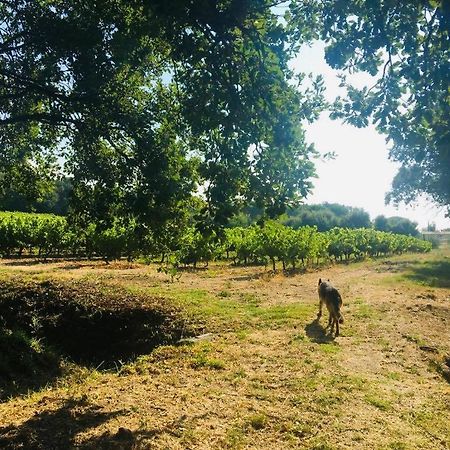 Villa Provencale Familiale Avec Piscine Grimaud Esterno foto